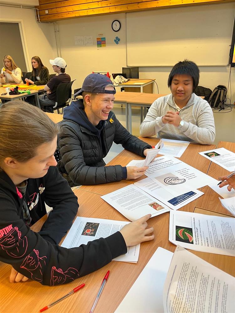 Klikk for stort bilde