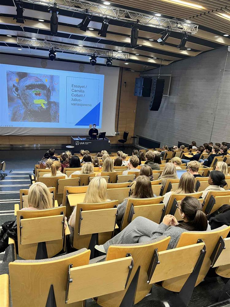 Klikk for stort bilde